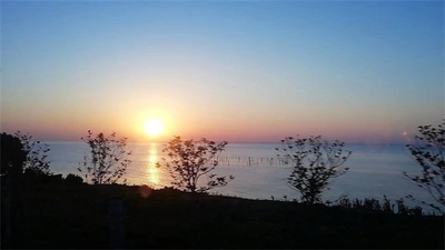IMG_6879.JPG