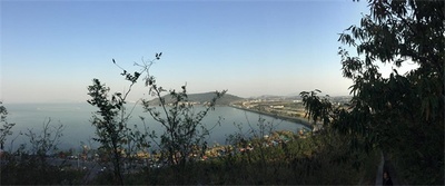 民宿后山.JPG