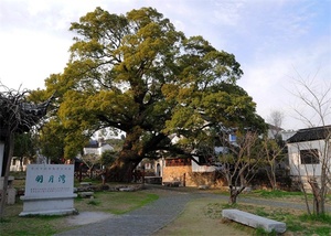 苏郡民宿农家乐